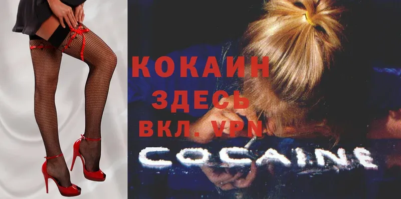 закладки  Емва  COCAIN FishScale 